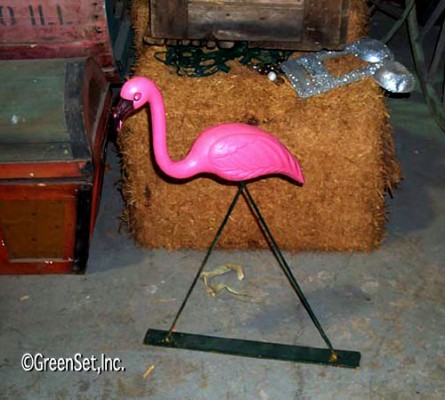 Flamingo