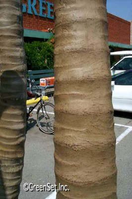 Palm Trunk