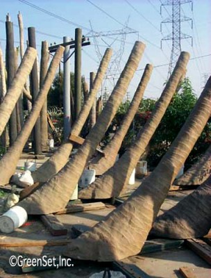 Swoop Palm Trunk