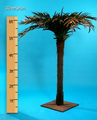 Areca Stalk Palm