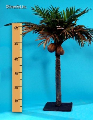 Areca Stalk Palm