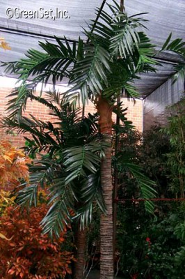 Areca Stalk Palm with Kentia Foliage