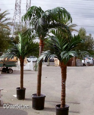 Areca Trunk with Silk Kentia Foliage