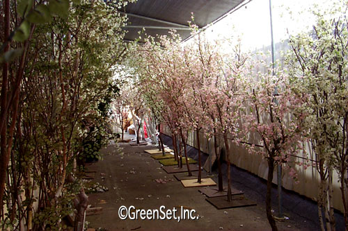 Assorted Silk Cherry Blossom Trees