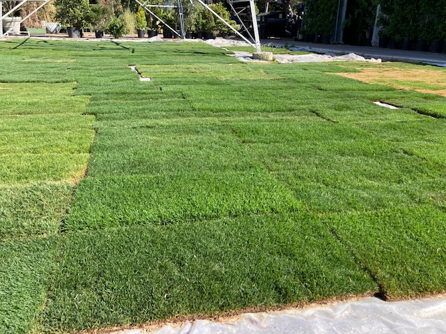 Bark & Ground Cover