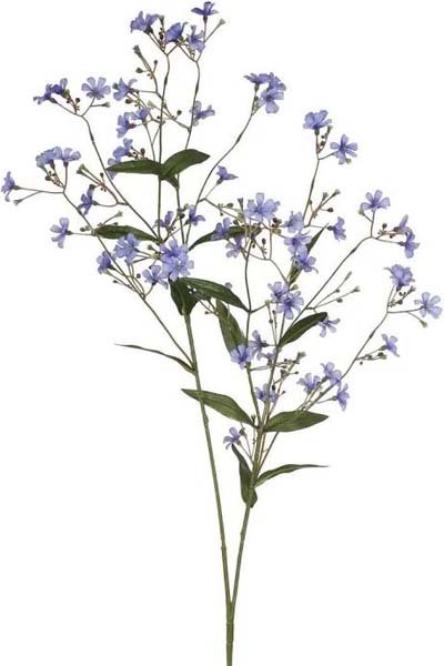 Wax Flower Spray