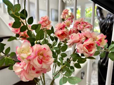 Rambling Rose Spray