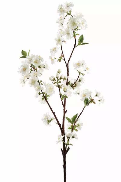 Cherry Blossom Spray