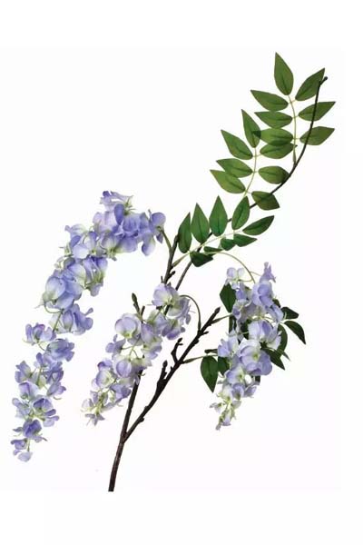 Wisteria Spray