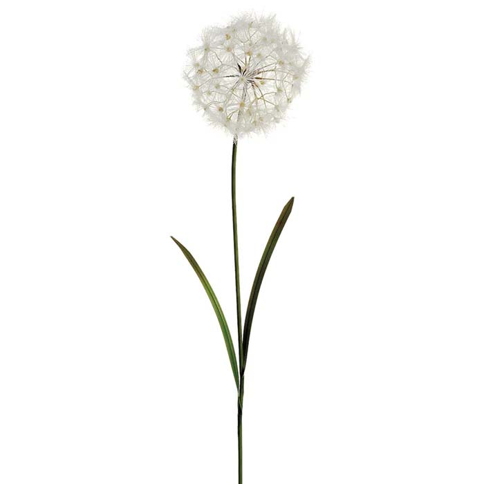 Dandelion Spray