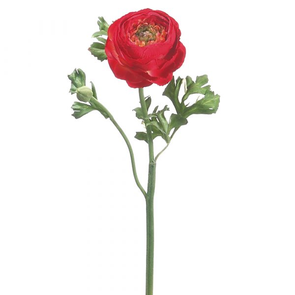 Ranunculus Spray