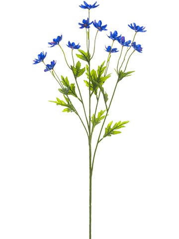 Mini Cosmos Spray