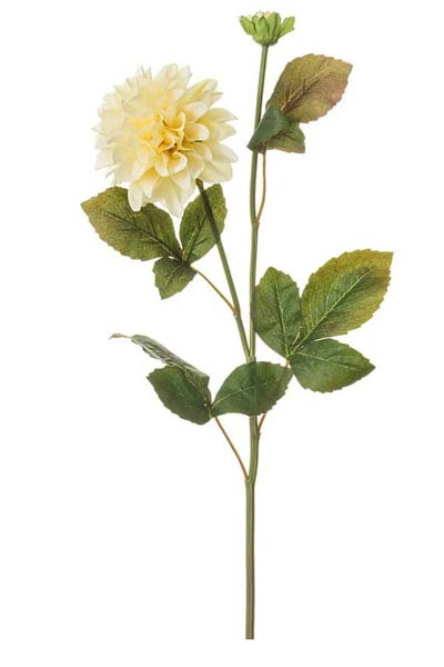 Dahlia Spray