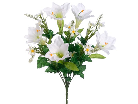 Easter Lily Bush