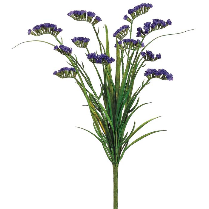 Statice Bush