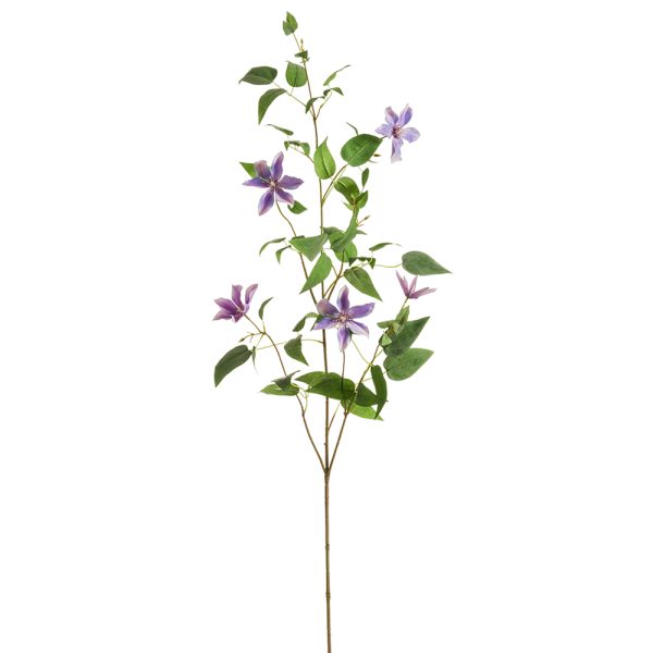 Clemantis Spray