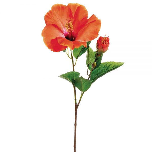 Hibiscus Spray