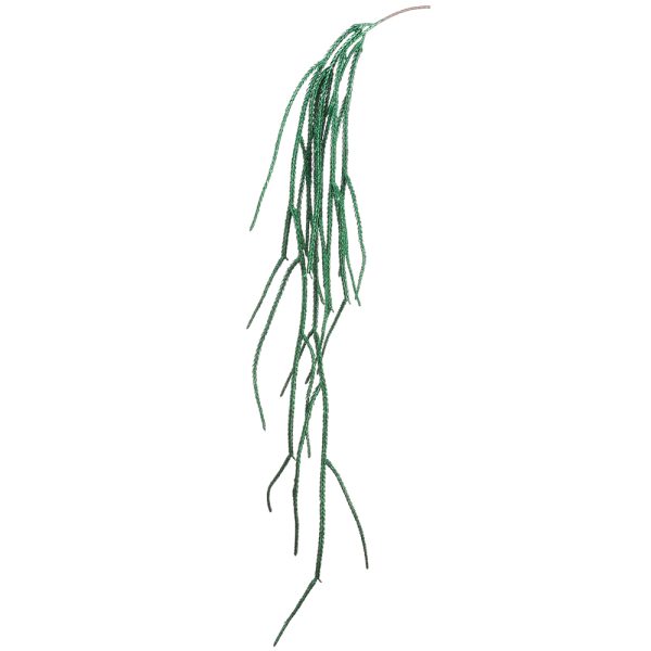 Amaranthus Spray