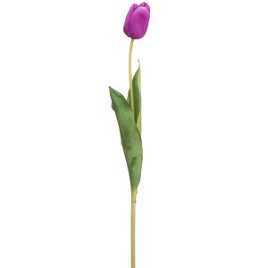 Tulip Spray