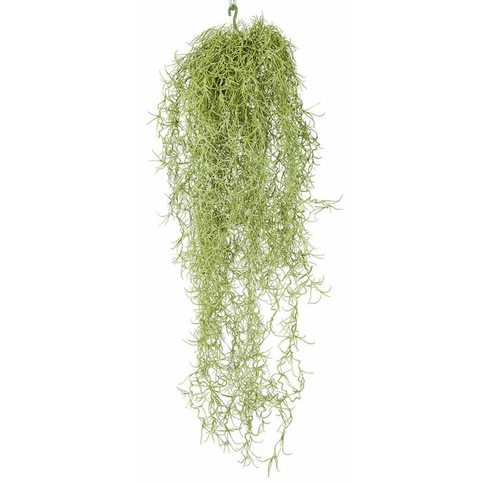 Spanish Moss Spray