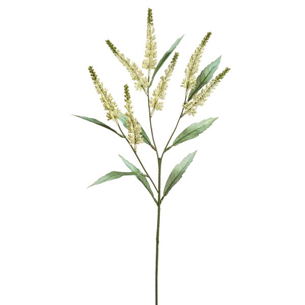 Astilbe Spray