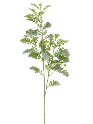 Millet Spray