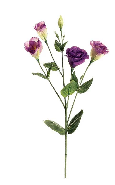 Lianthus Spray