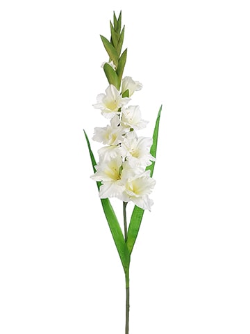 Gladiolus Spray-White/Cream