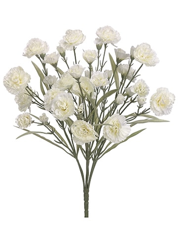 Carnation Bush-White/Cream
