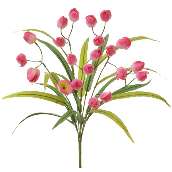 Tulip Bush