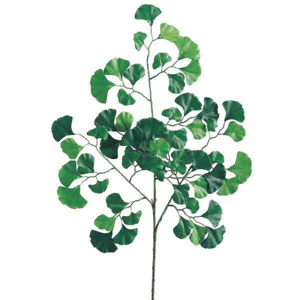 Ginko Spray