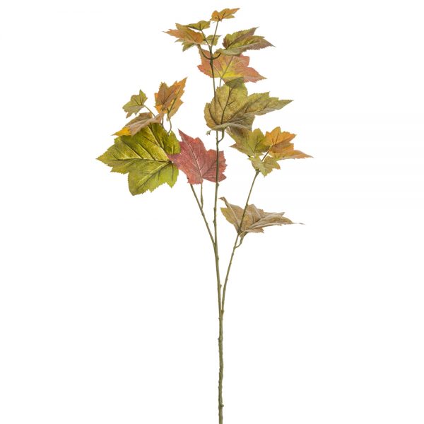Maple Spray
