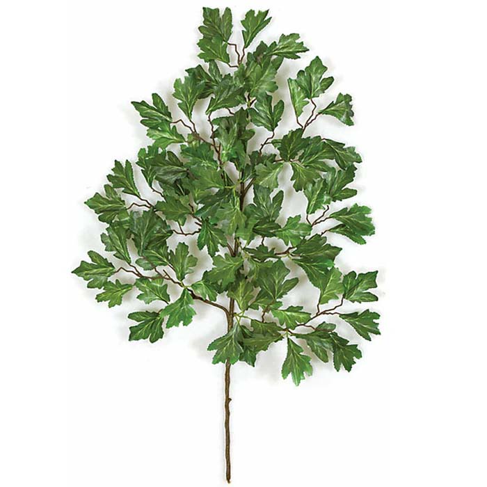Scarlet Oak Spray-Fall