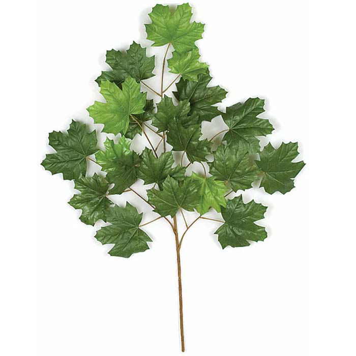 Canadian Maple Spray