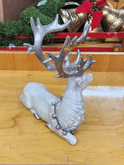 Reindeer, sitting 12