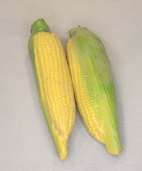 Shucked Corn