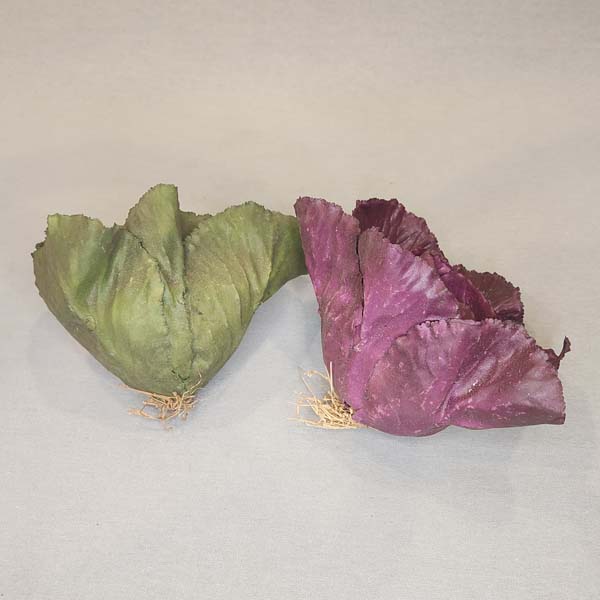 Red and green Baby Cabbage