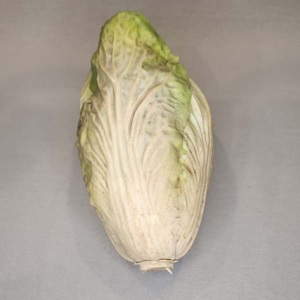 Head Lettuce