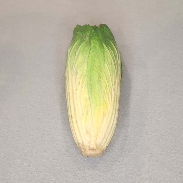 Cabbage