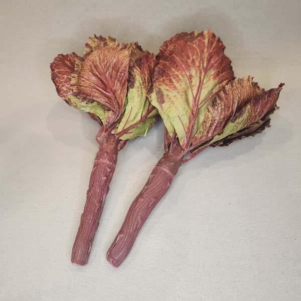 Cabbage, Purple