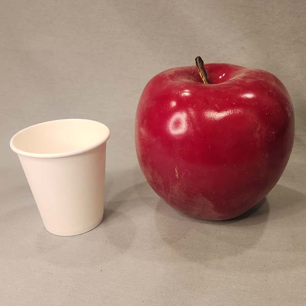 Large Red Delicious Apple