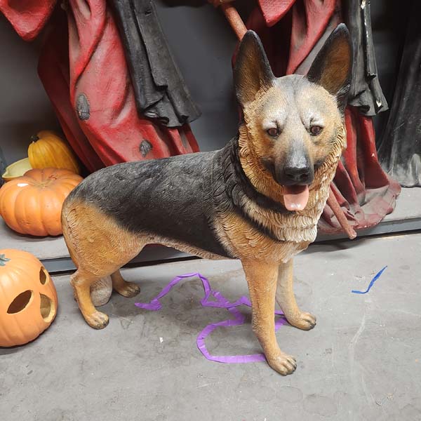 German shepard