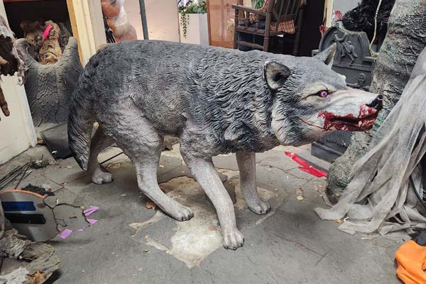 Grey wolf