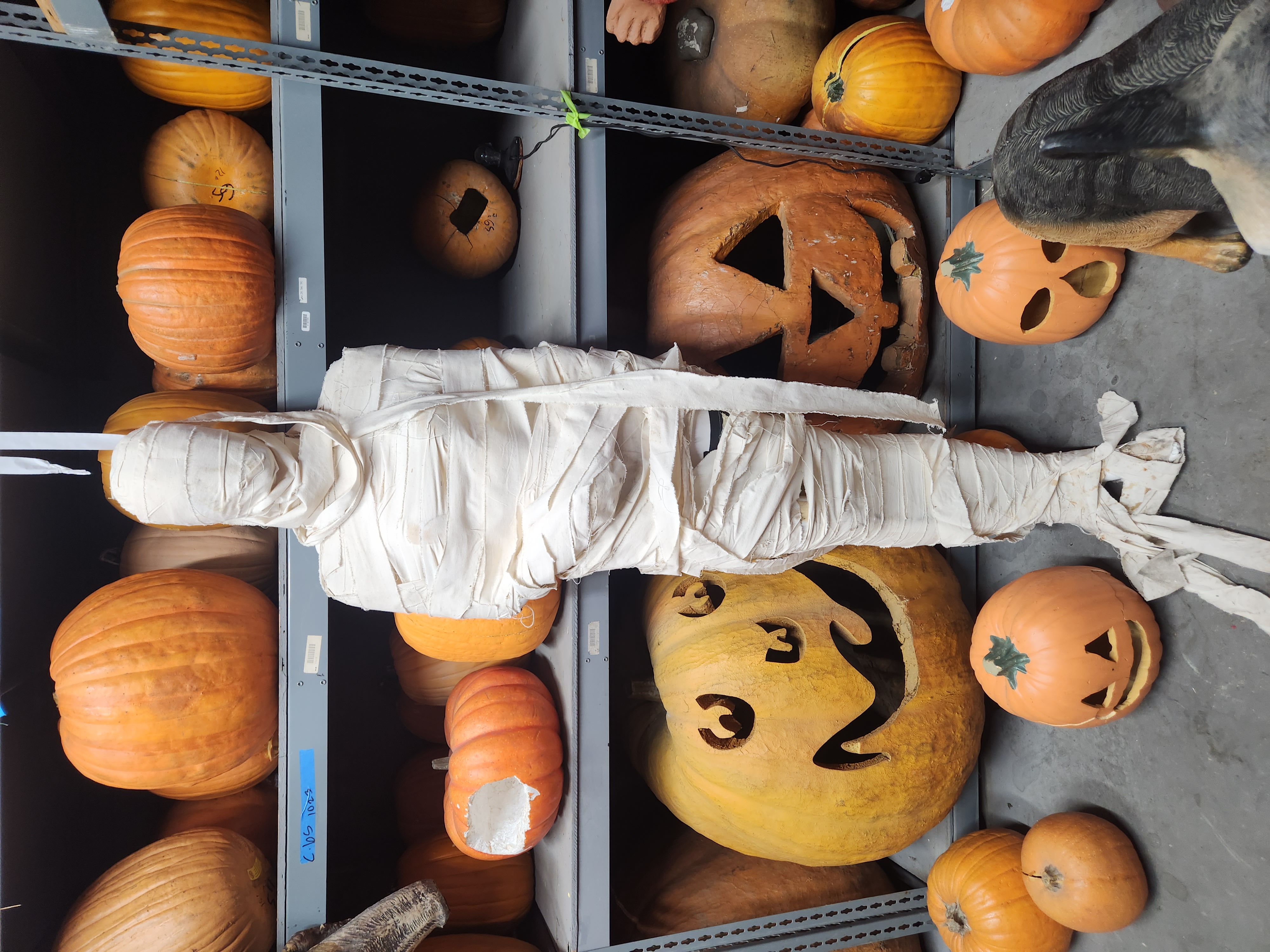 Full size female mummy