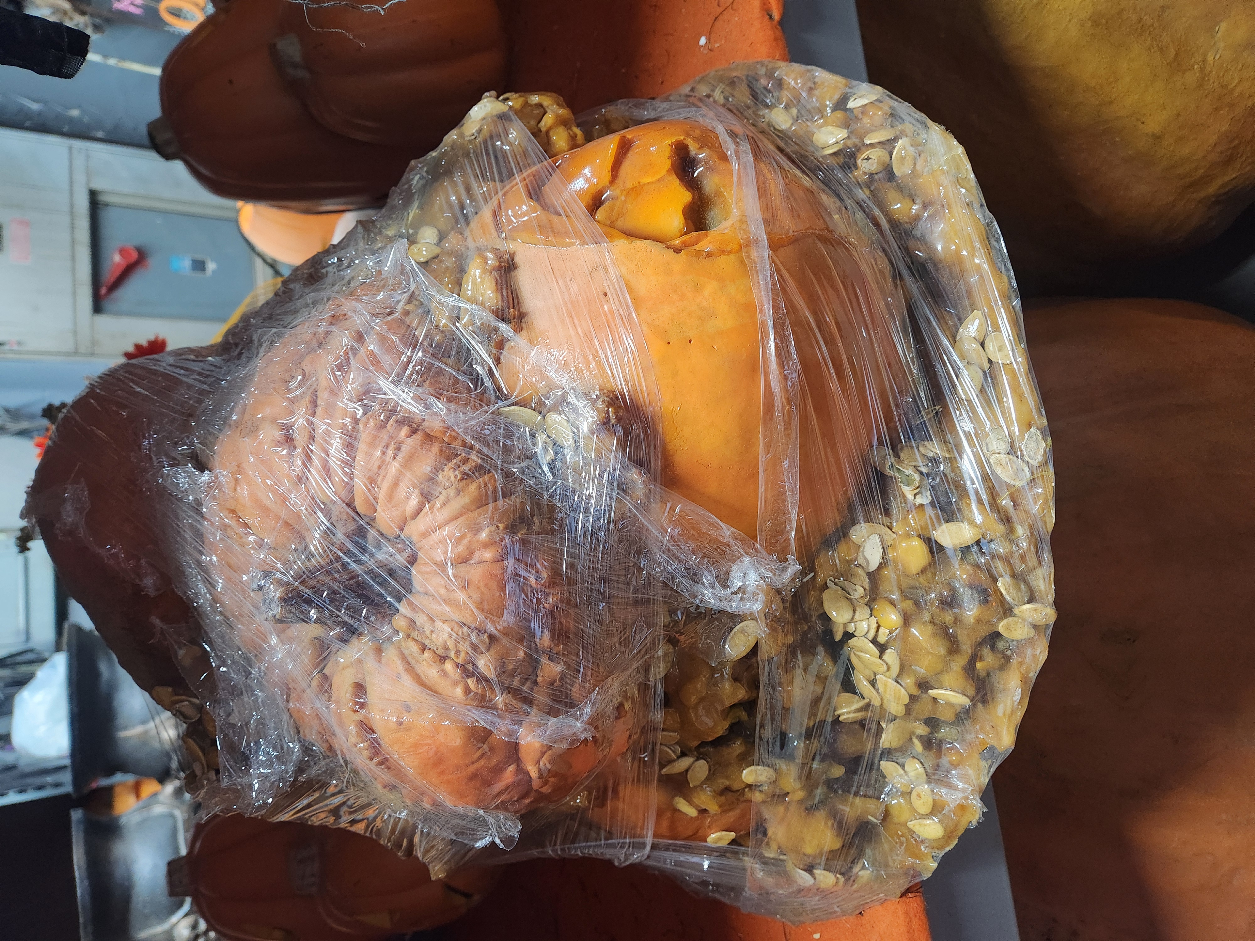 Rotting pumpkin with seeds and guts scent