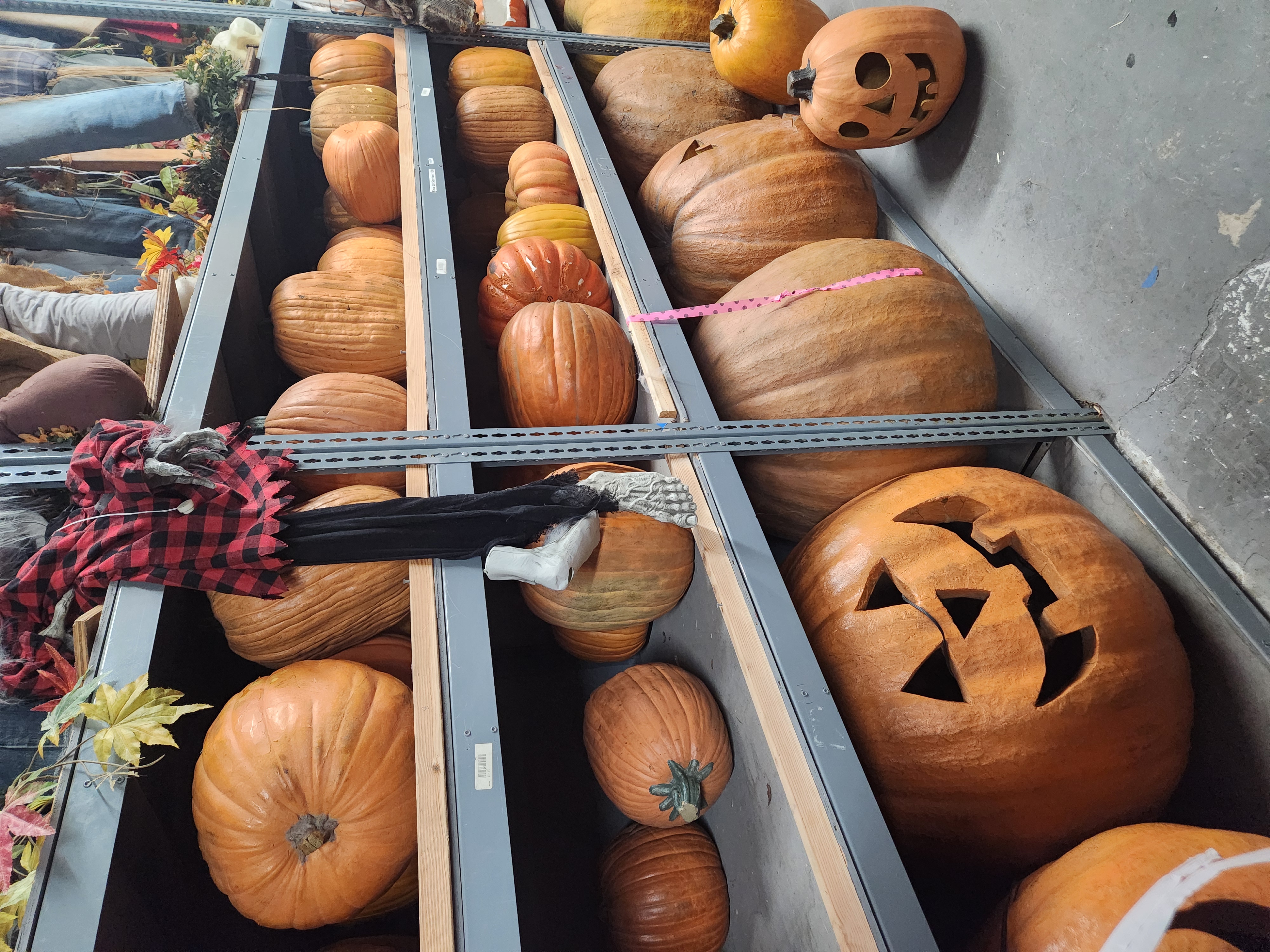 Assorted pumpkins and jack-o-lanterns