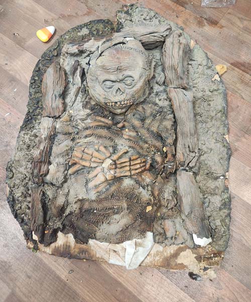 Bones in the dirt