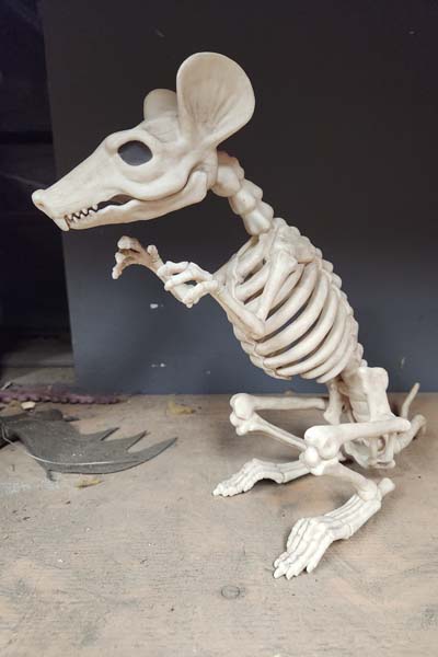 Medium size possums