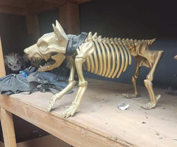 Gold dog skeleton