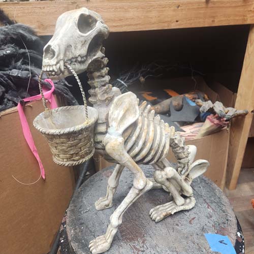 Dog skeleton carrying basket